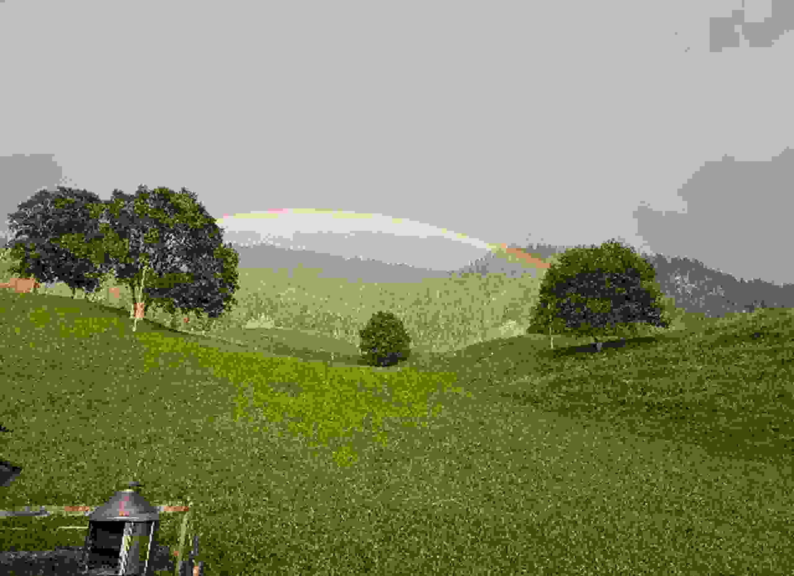 Lenk