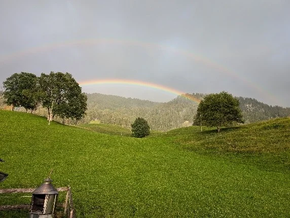 91c185277baf23e3e65aea67f363218e5f97a611